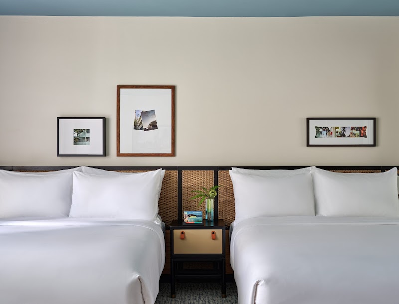 Romer Waikiki at The Ambassador photo 2