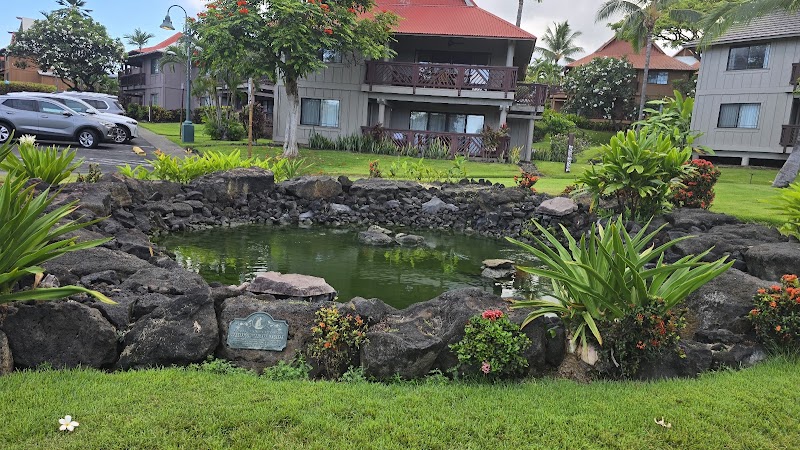 Club Wyndham Kona Hawaiian Resort photo 1