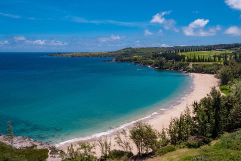 The Ritz-Carlton, Kapalua photo 4