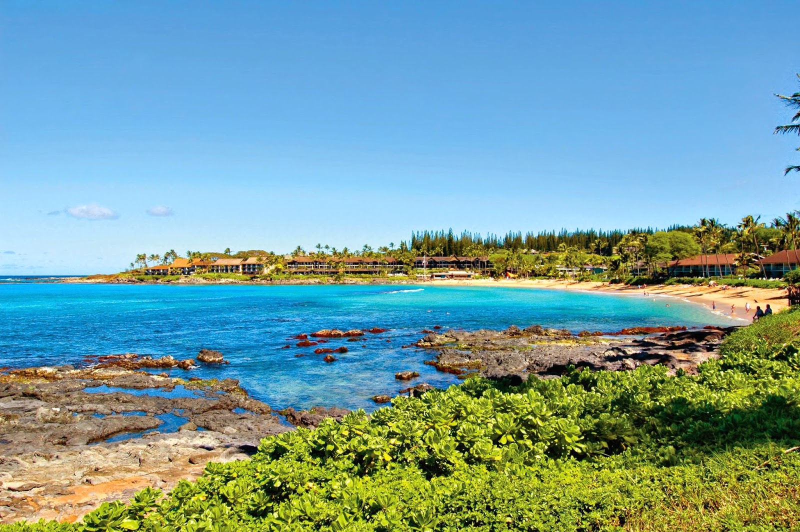 Napili Shores Maui by Outrigger photo 5