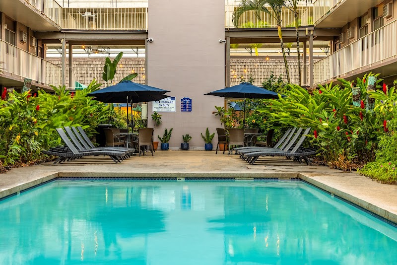 Pacific Marina Inn photo 3