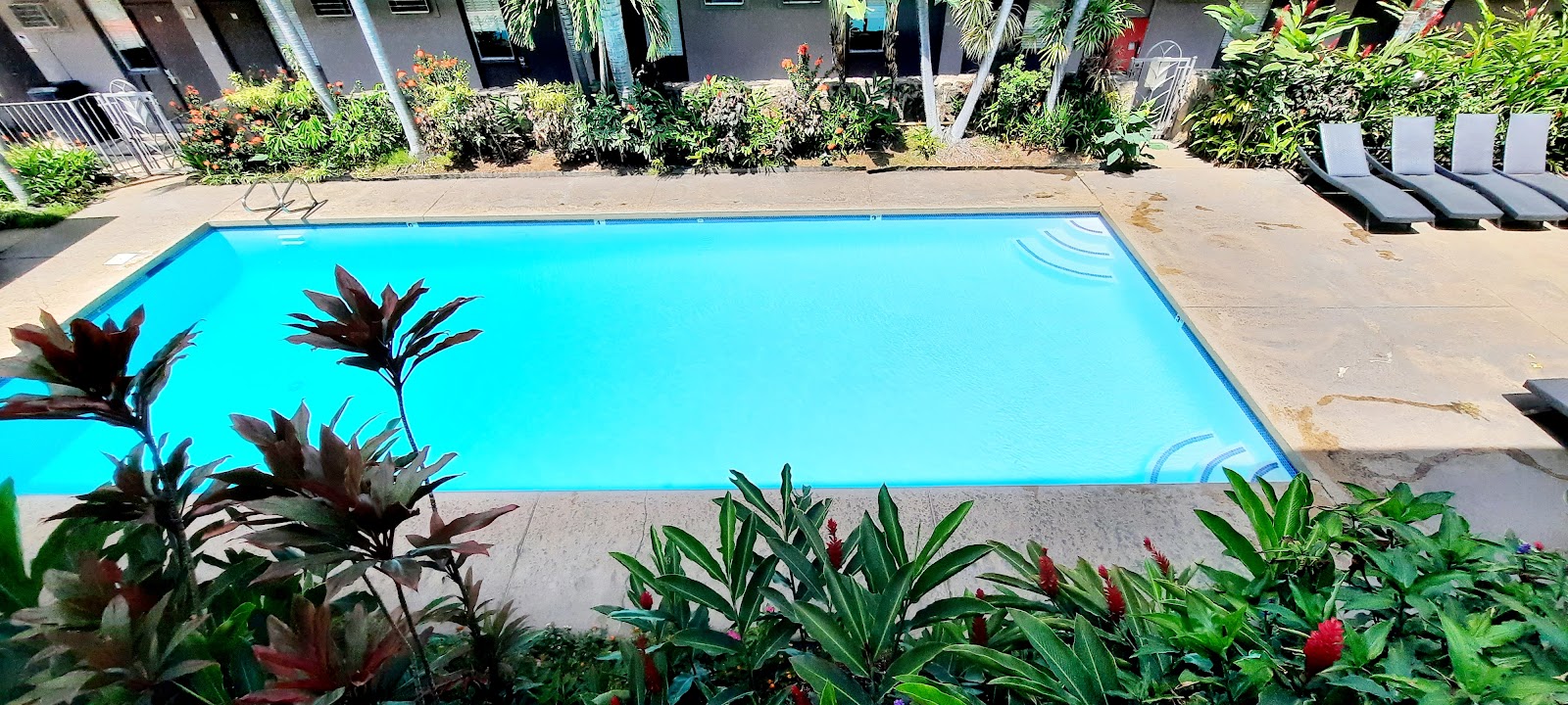 Pacific Marina Inn photo 5