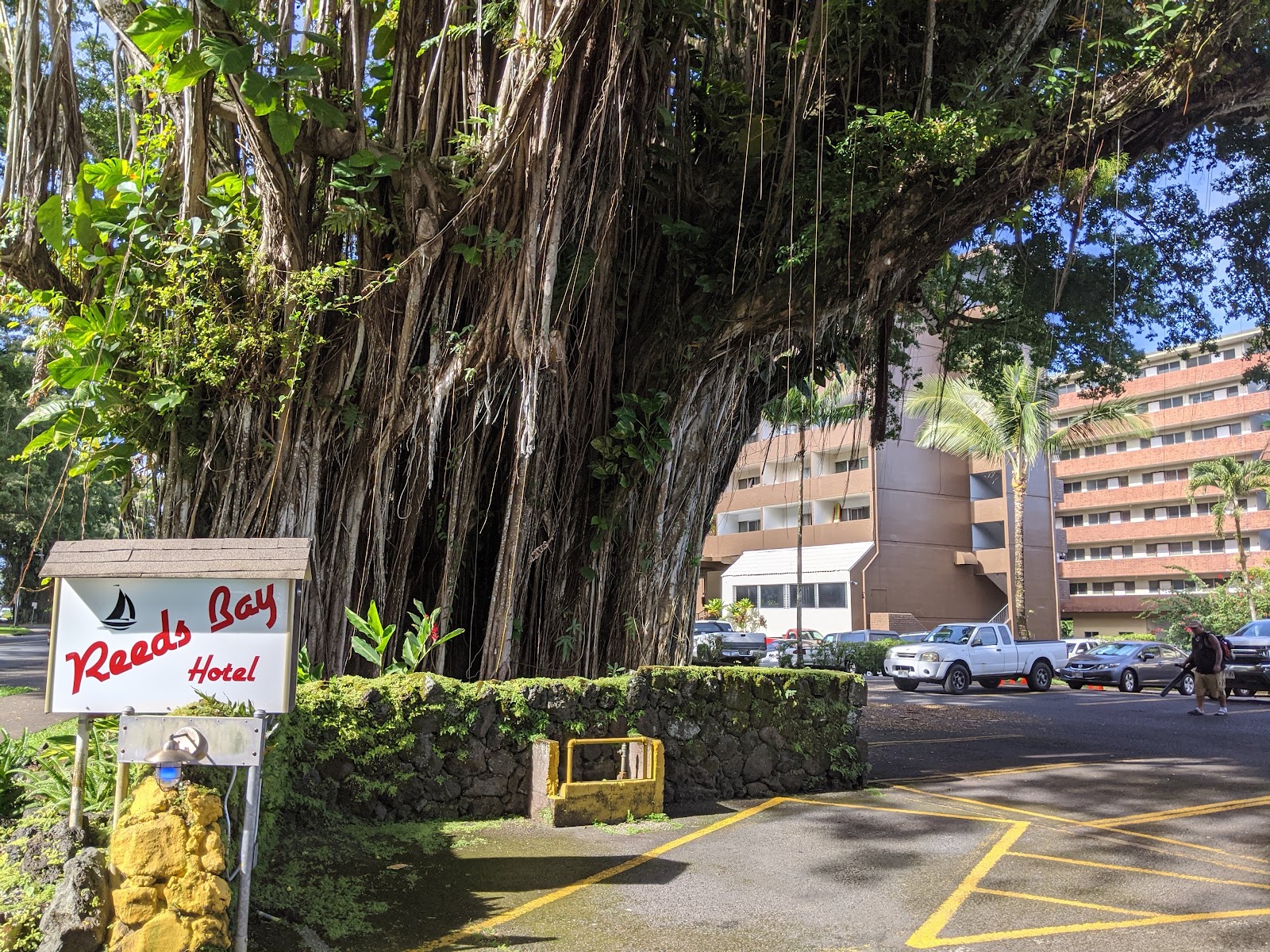 Hilo Reeds Bay Hotel photo 5