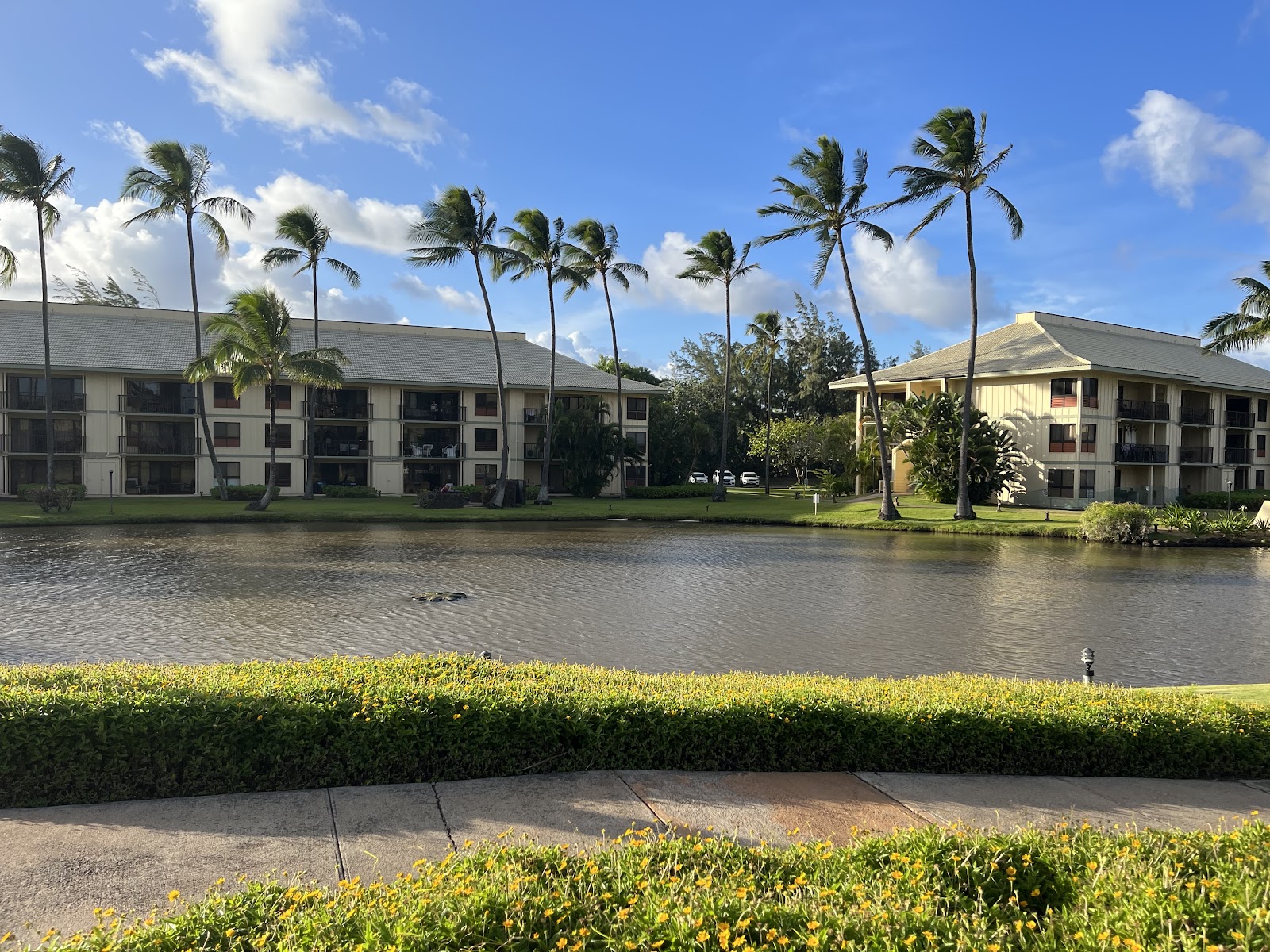 Kauai Beach Villas | Kaua'i Condo/Villa