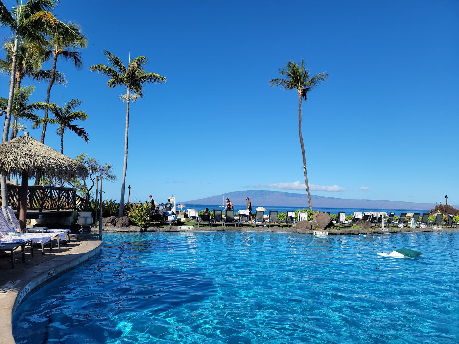 Sheraton Maui Resort & Spa photo 3