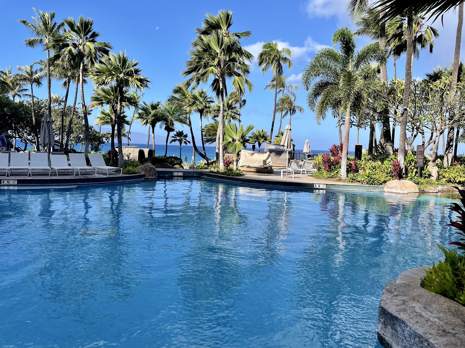 The Westin Maui Resort & Spa photo 5