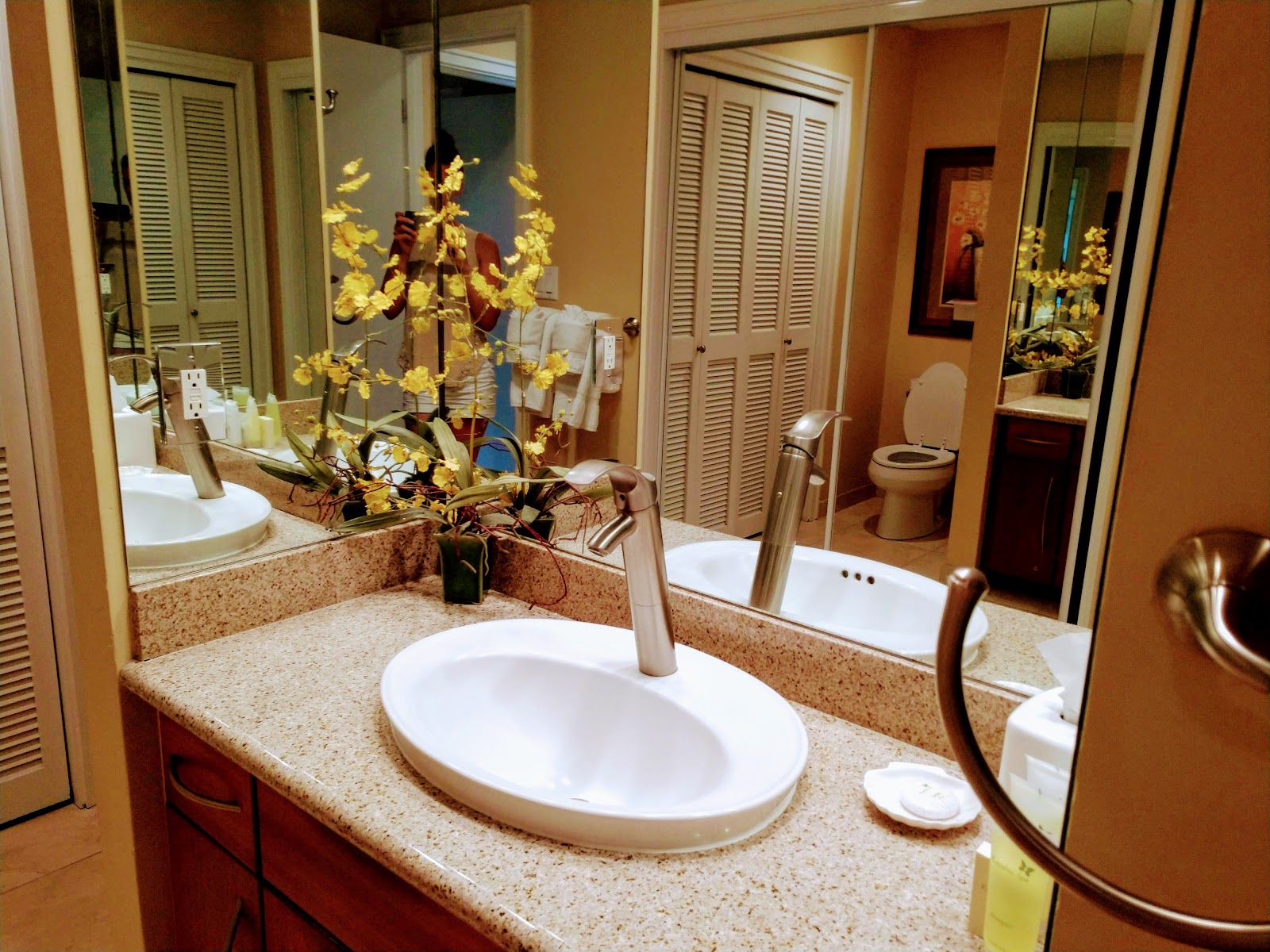 The Resort at Kapalua Bay, Maui photo 4