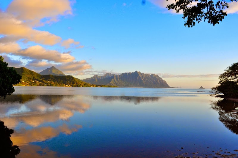 Paradise Bay Resort photo 5