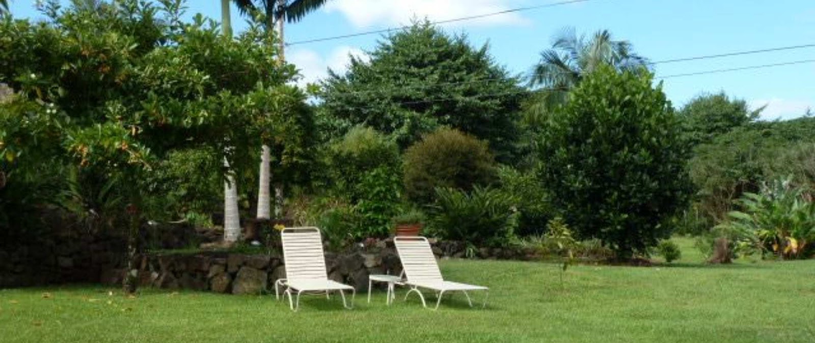 Old Hawaiian B&B photo 4