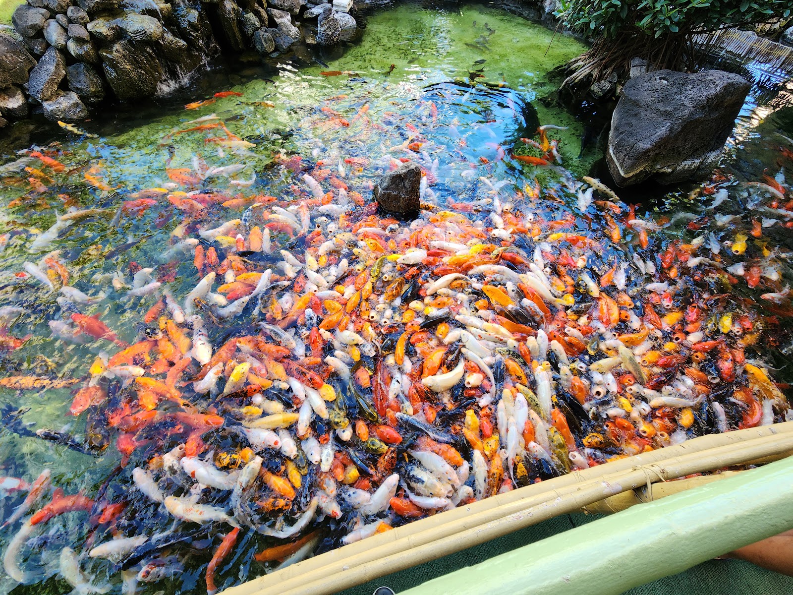 Pagoda Hotel photo 5